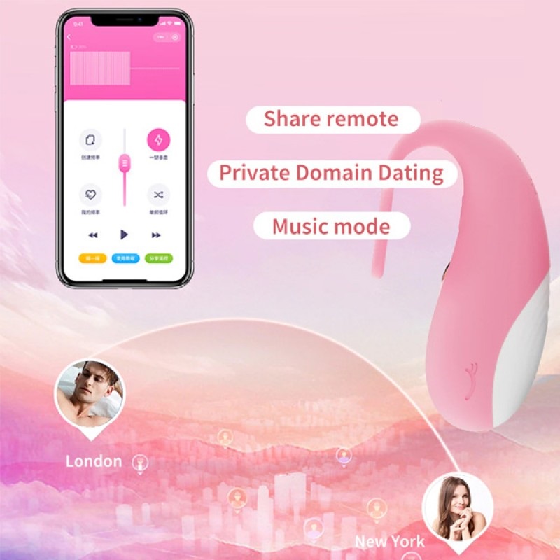 App-gesteuertes Bluetooth-Lovetoy
