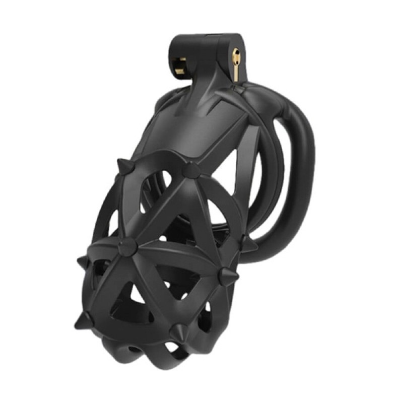 BDSM Keuschheitskäfig Toy mit abnehmbaren Silikonstacheln