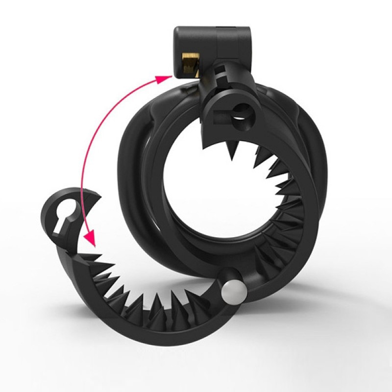 BDSM Chastity Lock mit Stachel